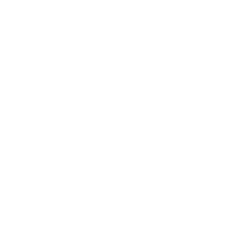 logo-skt